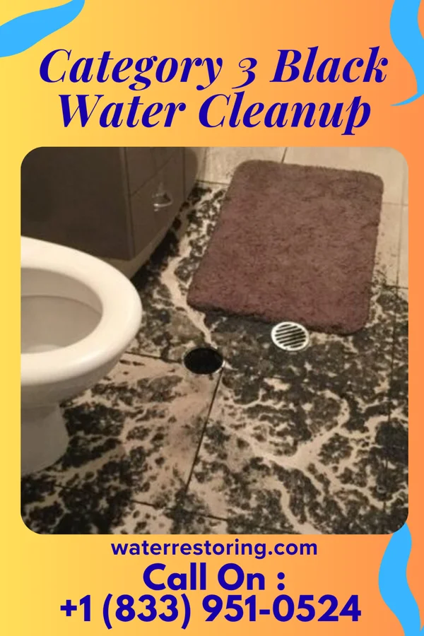Category 3 Black Water Cleanup in Meadow Lake, NM
