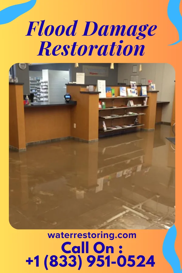 Flood Damage Restoration in Meadow Lake, NM