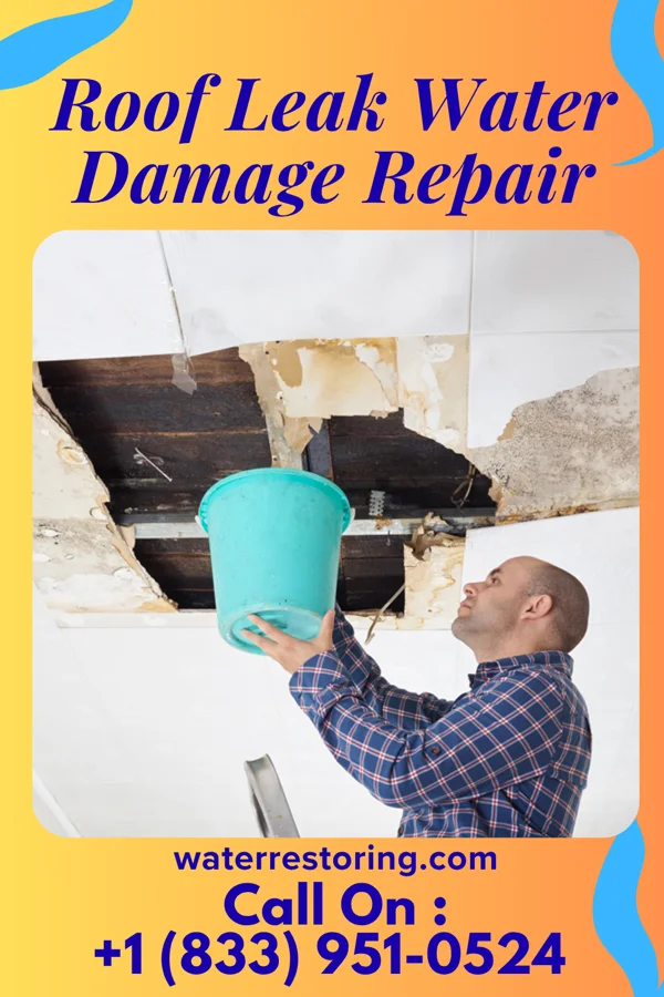 Roof Leak Water Damage Repair in Meadow Lake, NM