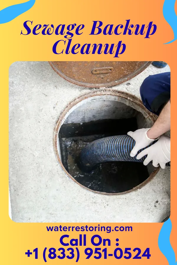 Sewage Backup Cleanup in Meadow Lake, NM