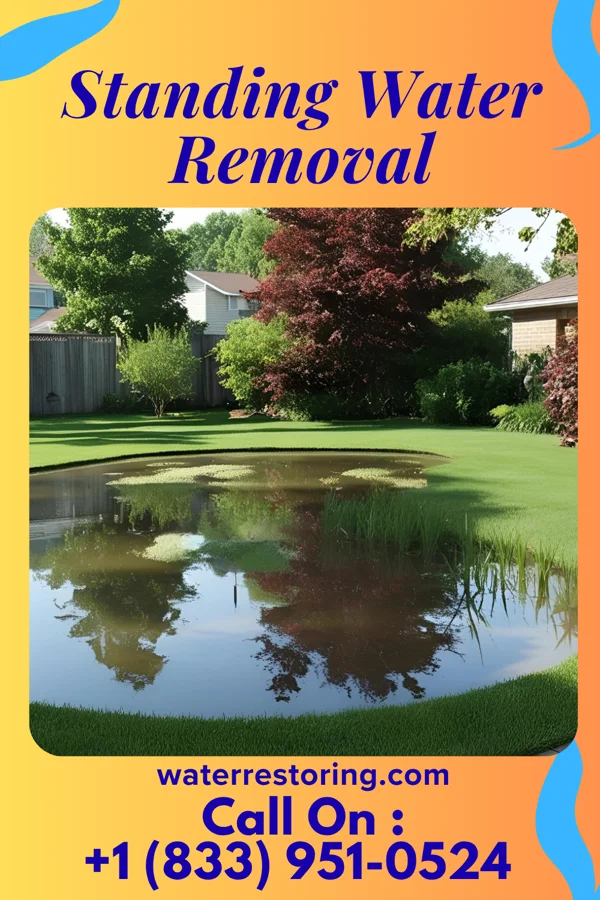 Standing Water Removal in Meadow Lake, NM